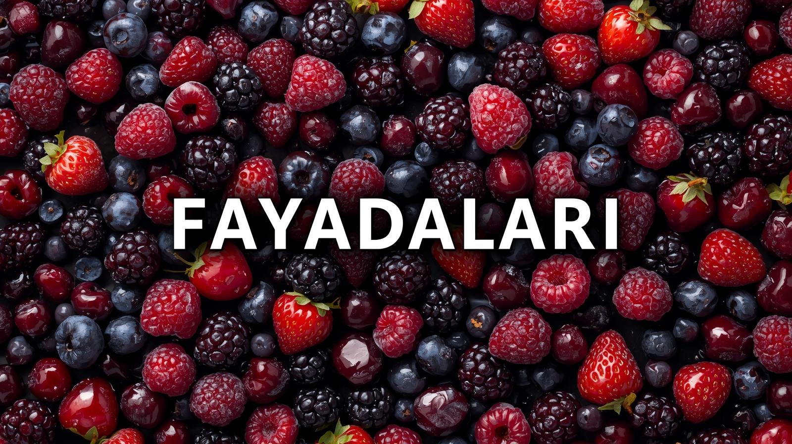 Dondurulmuş Gıdaların Faydaları